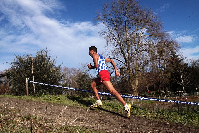 Diapositive suivante